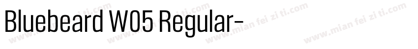 Bluebeard W05 Regular字体转换